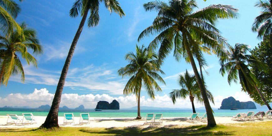 Beach Thailand Palm trees
