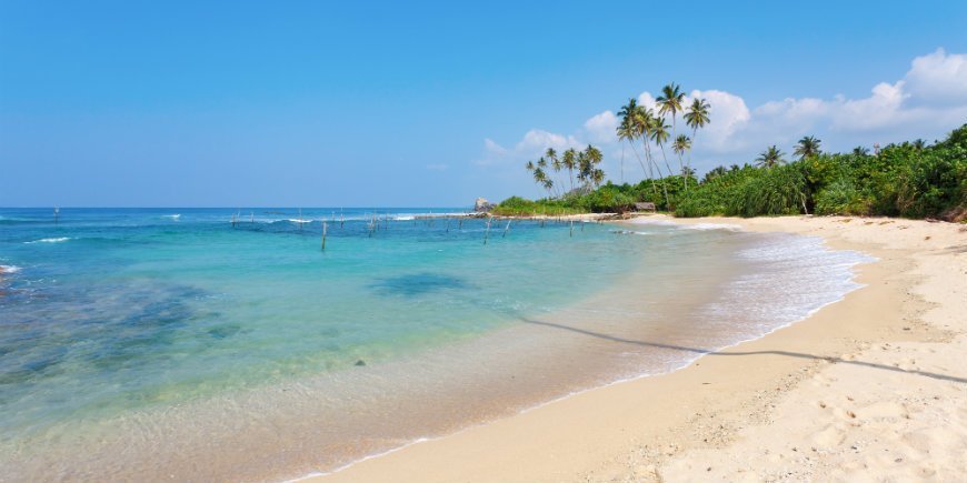Strand i Mirissa i Sri Lanka