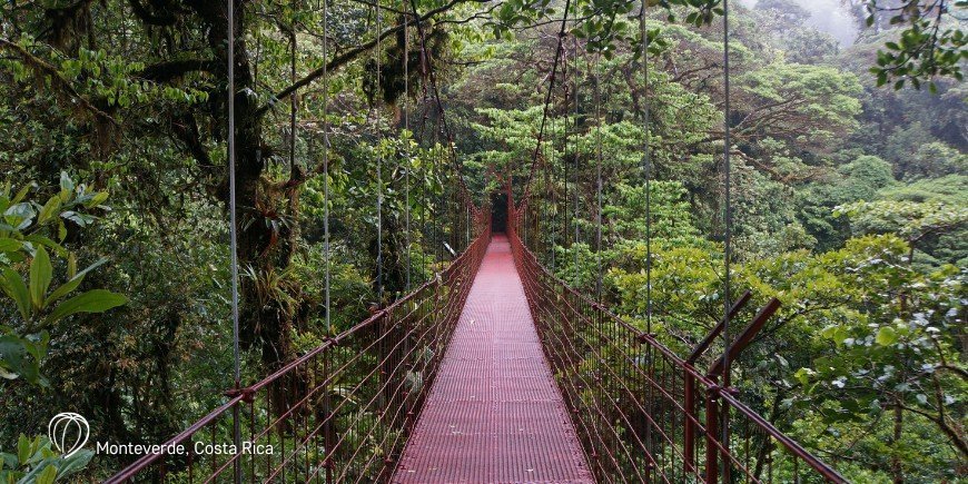 Hanging bridge in Monteverde Cloud Forest in Costa Rica