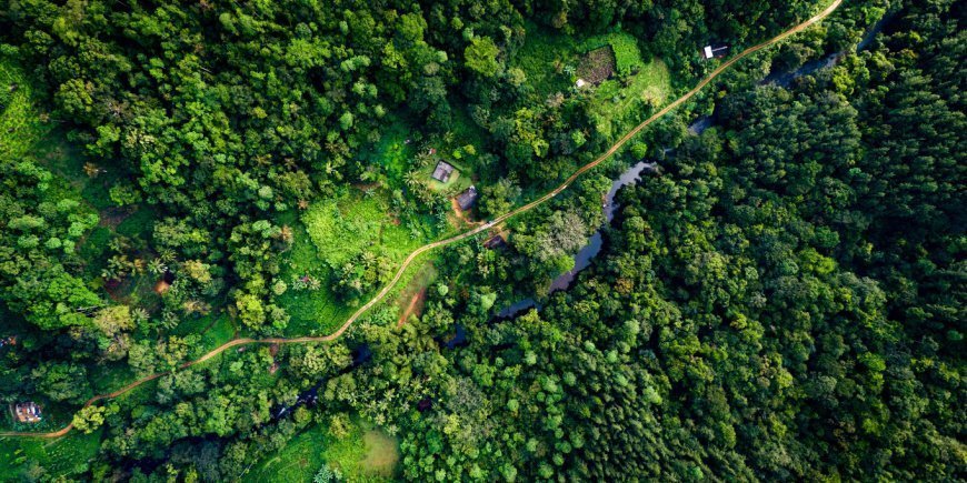 Aerial photo of Sinharaja Forest Reserve in Sri Lanka