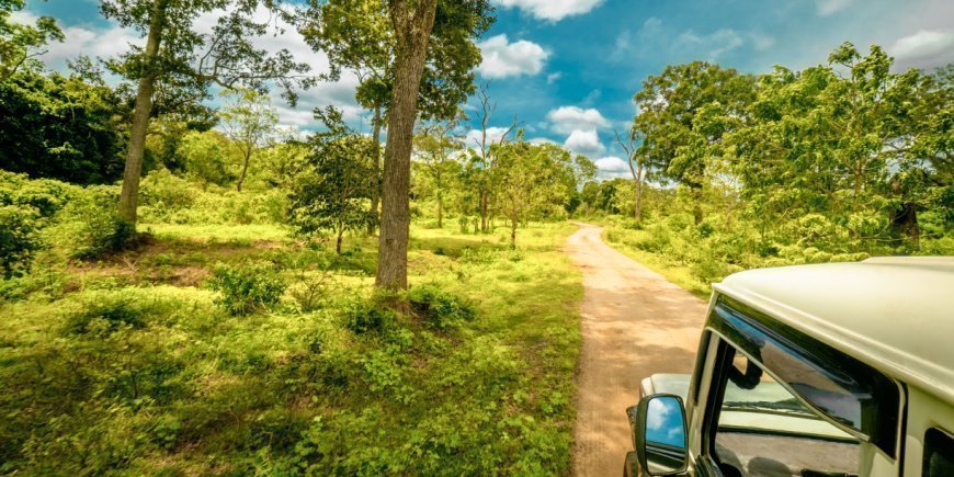Jeep safari in Sri Lanka National Park 
