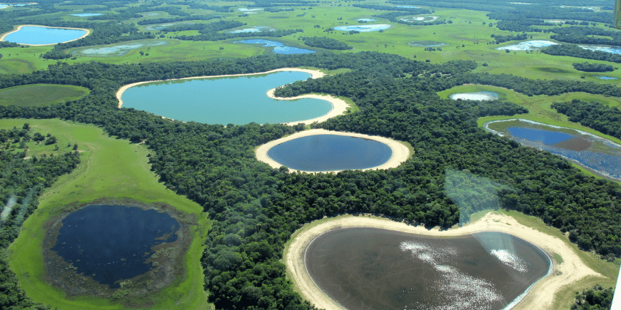 Aerial photo of nature areas in the Brazilian Pantanal 